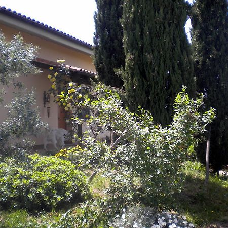 Le Tre Querce Bed & Breakfast Fiano Romano Exterior photo