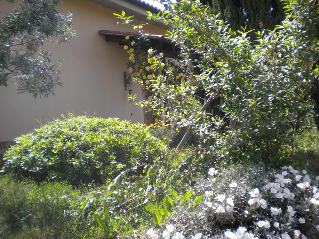 Le Tre Querce Bed & Breakfast Fiano Romano Exterior photo