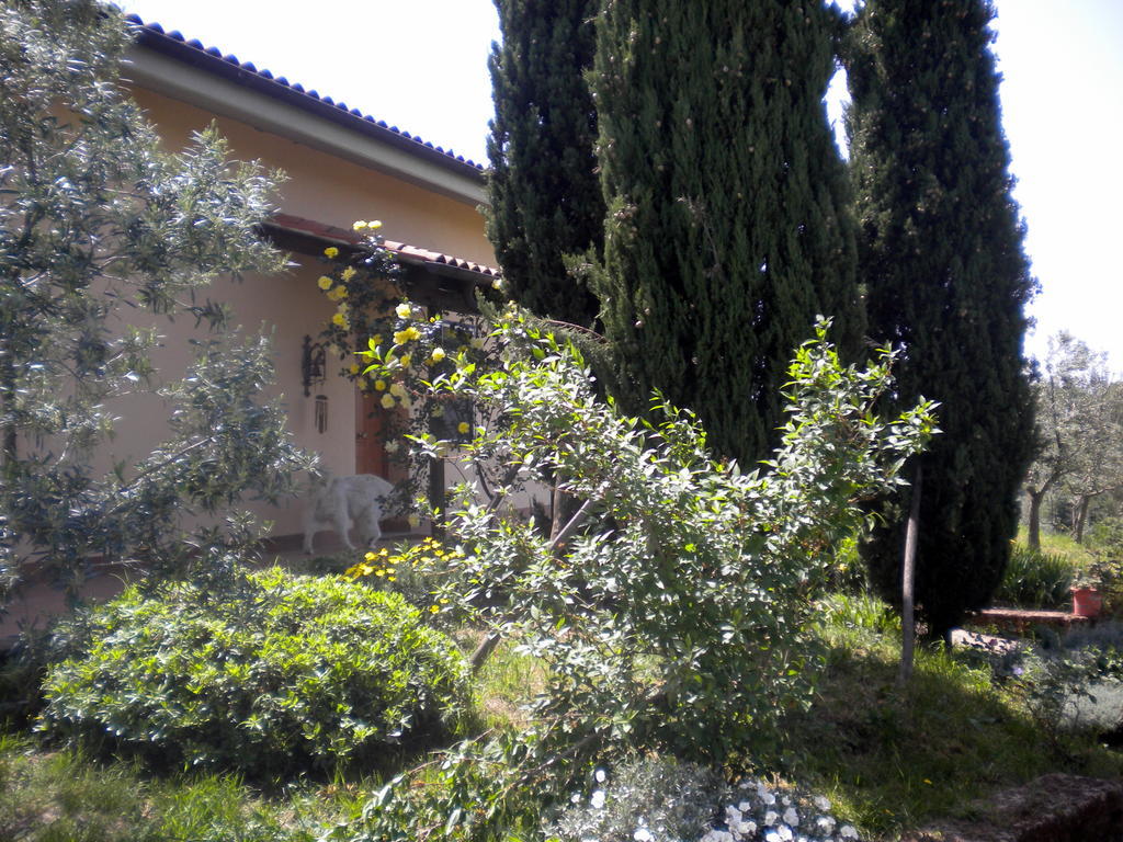 Le Tre Querce Bed & Breakfast Fiano Romano Exterior photo